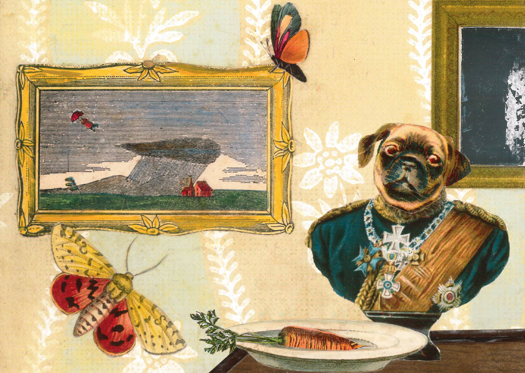 Auf den Hund gekommen!